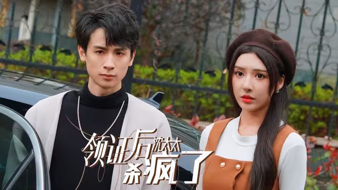 领证后沈太太杀疯了第1-20集