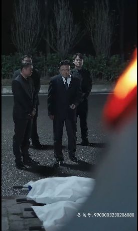 反败为胜第1-20集