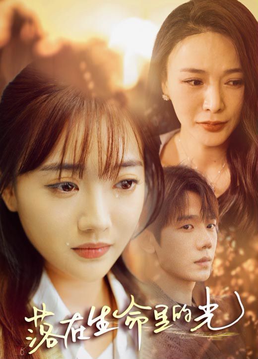 落在生命里的光第1-20集