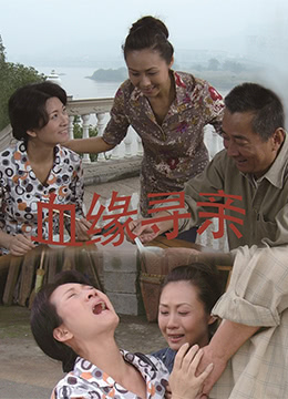 血缘寻亲正片