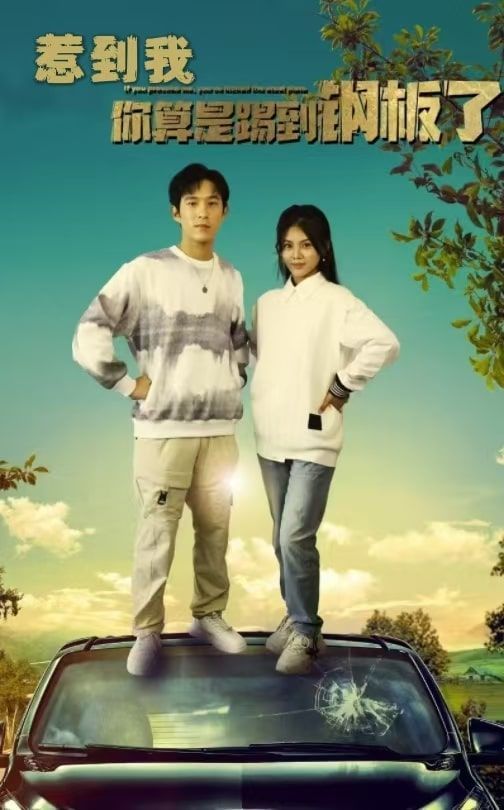 惹到我你算是踢到钢板了第21-40集