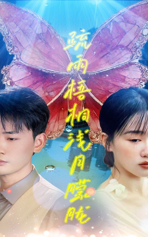 疏雨梧桐浅月朦胧第1-30集