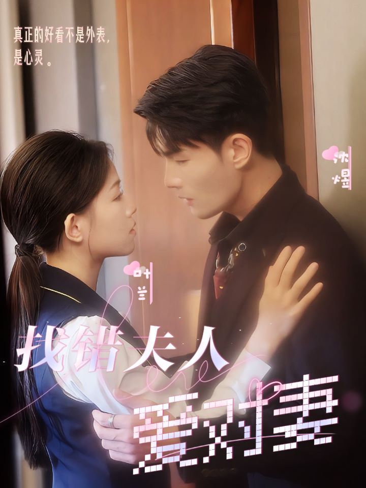 找错夫人爱对妻全集完结(大结局)