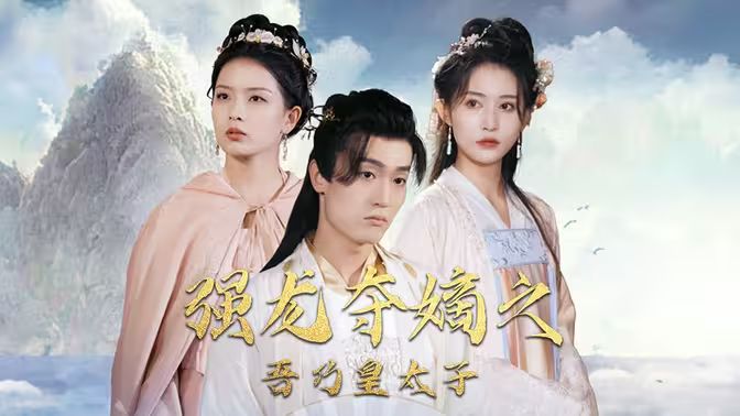 强龙夺嫡之吾乃皇太子第21-40集