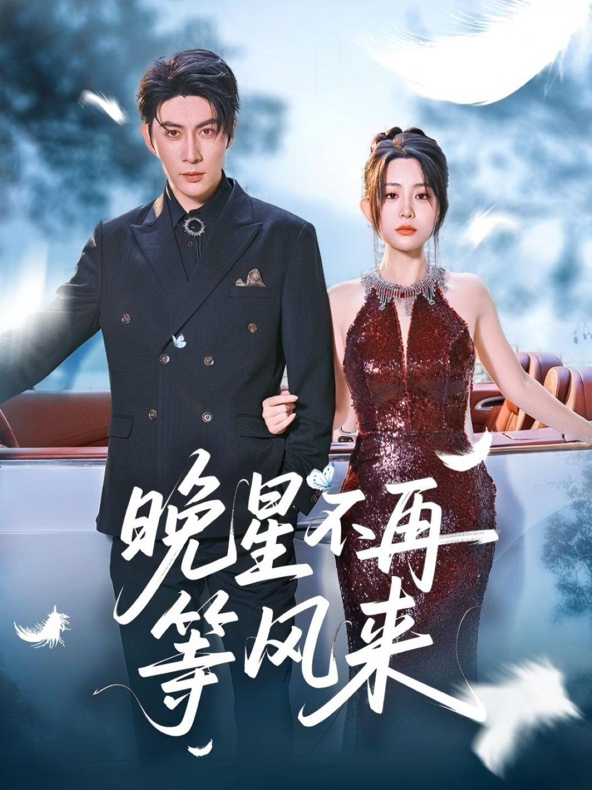 晚星不再等风来第31-65集完结(大结局)