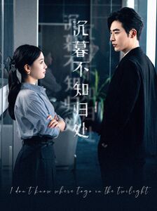 沉暮不知归处第21-40集