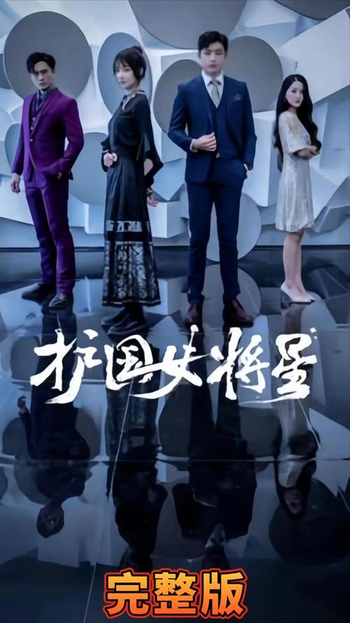 护国女将星第1-20集