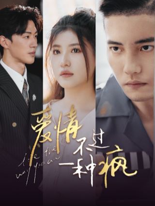 爱情不过一种疯第1-20集