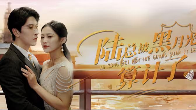 陆总被黑月光算计了第1-20集