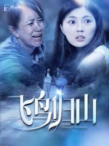 飞鸟归山第41-60集