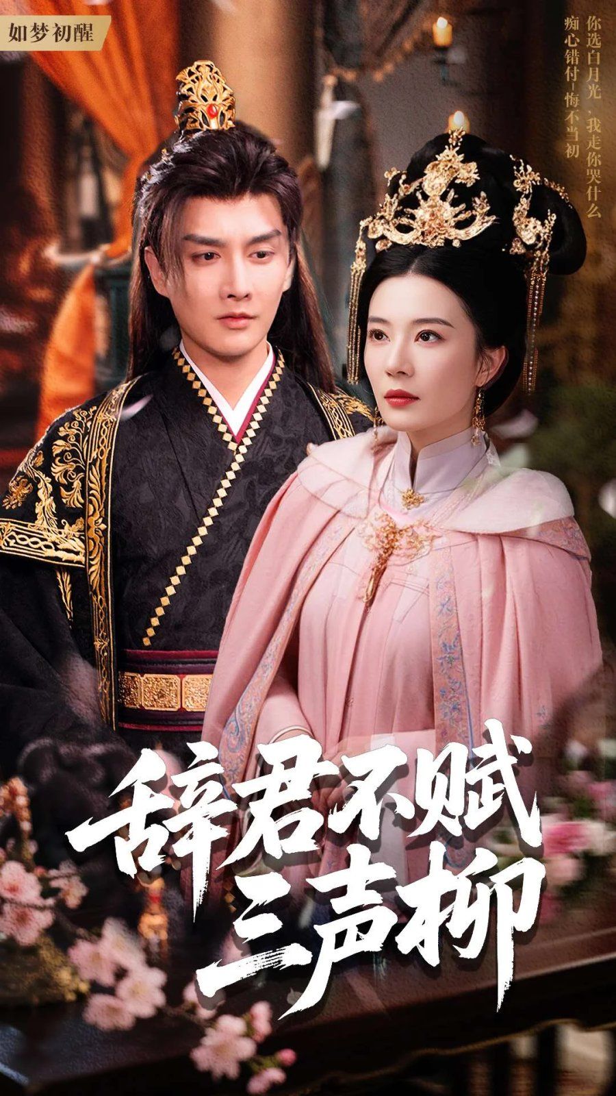 辞君不赋三声柳第1-30集