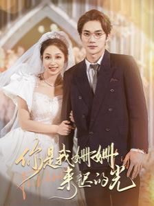 你是我姗姗来迟的光第41-60集