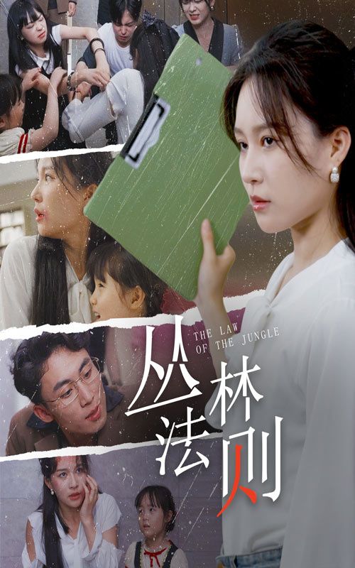 丛林法则第1-29集完结(大结局)