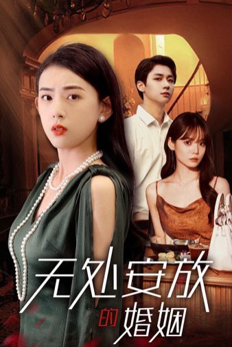 无处安放的婚姻第21-41集完结(大结局)