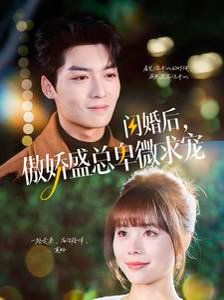 闪婚后傲娇盛总卑微求宠第1-20集