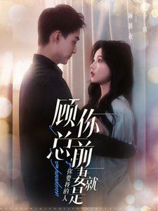 顾总你前妻就是你要找的人第1-20集