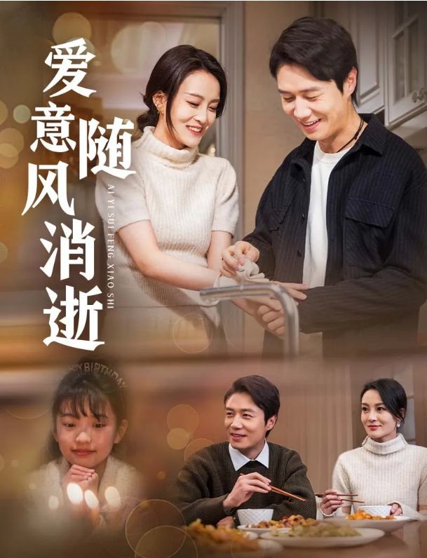 爱意随风消逝第01-20集