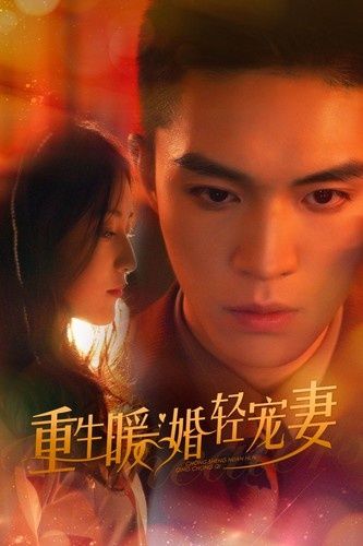 重生暖婚轻宠妻第1-20集