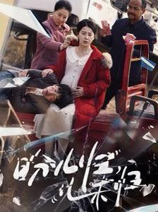 盼儿归儿未归第1-20集