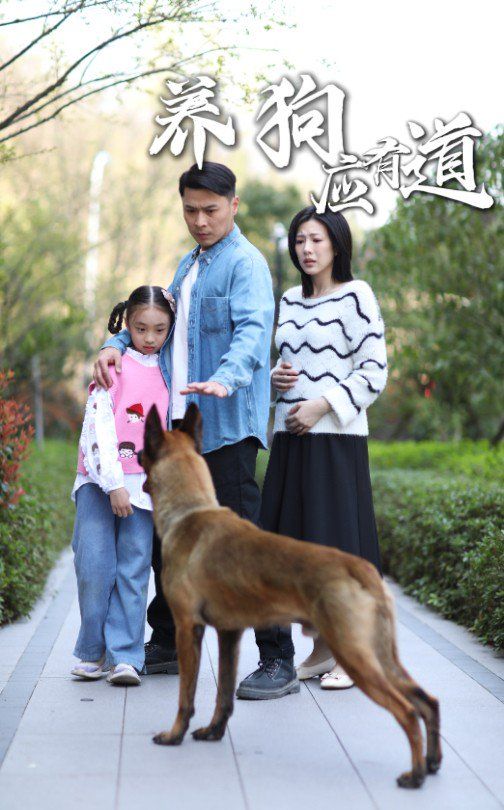 养狗应有道第1-30集