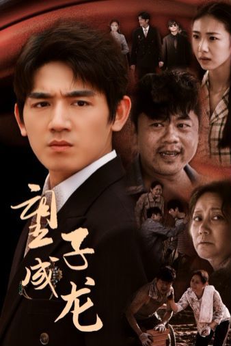 望子成龙第1-20集