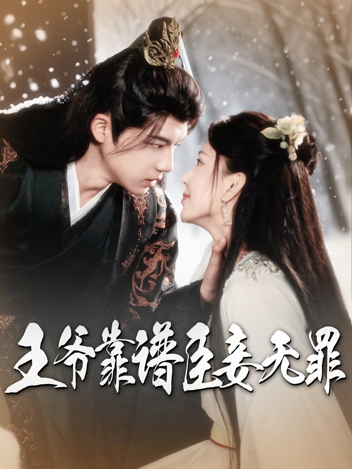 王爷靠谱臣妾无罪第1-20集