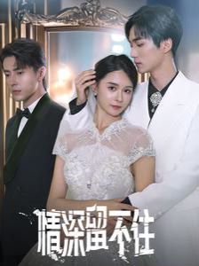 情深留不住第21-40集