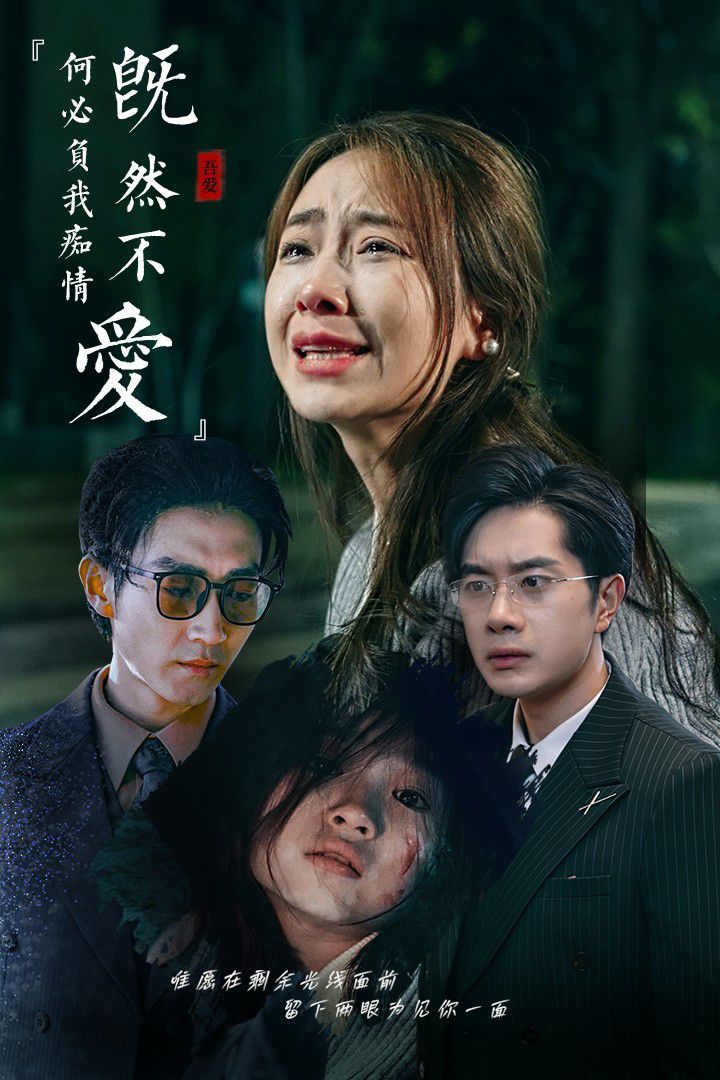 既然不爱何必负我痴情第1-20集