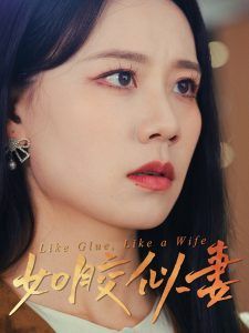 如胶似妻第21-40集