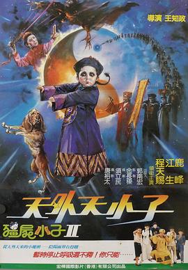 天外天小子正片