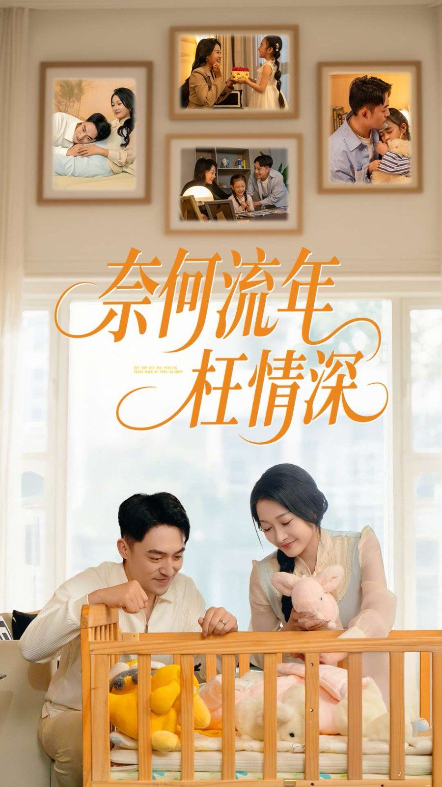 新奈何流年枉情深第1-30集