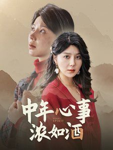 中年心事浓如酒第1-20集