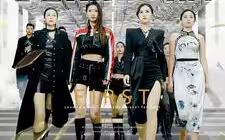 无双傻婿第1-20集