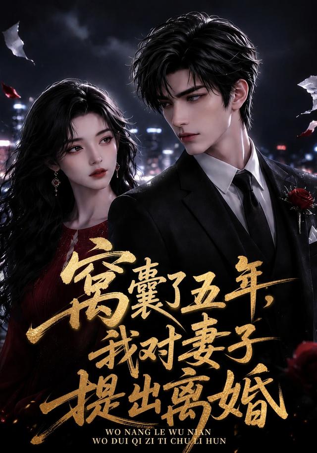 窝囊了五年，我对妻子提出离婚(全集)