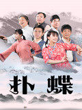 扑蝶正片