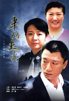 半路夫妻第01集