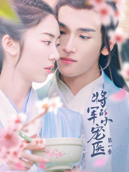 将军的小宠医第01集
