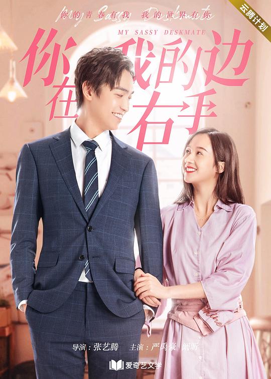 你在我的右手边第12集