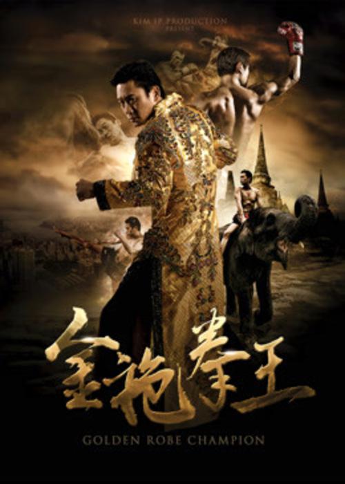 金袍拳王正片