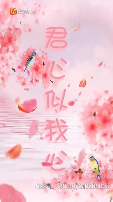 君心似我心第14集