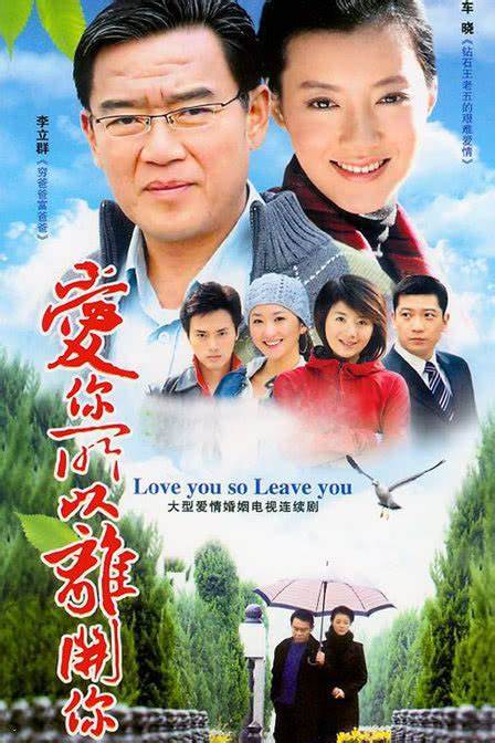 爱你所以离开你第12集