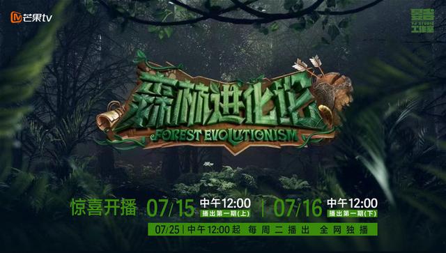 森林进化论第20230912期
