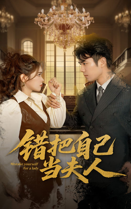 错把自己当夫人第01-30集