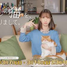 我收留了前男友的猫(全集)