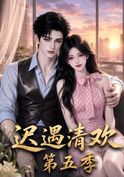 迟遇清欢第五季(全集)