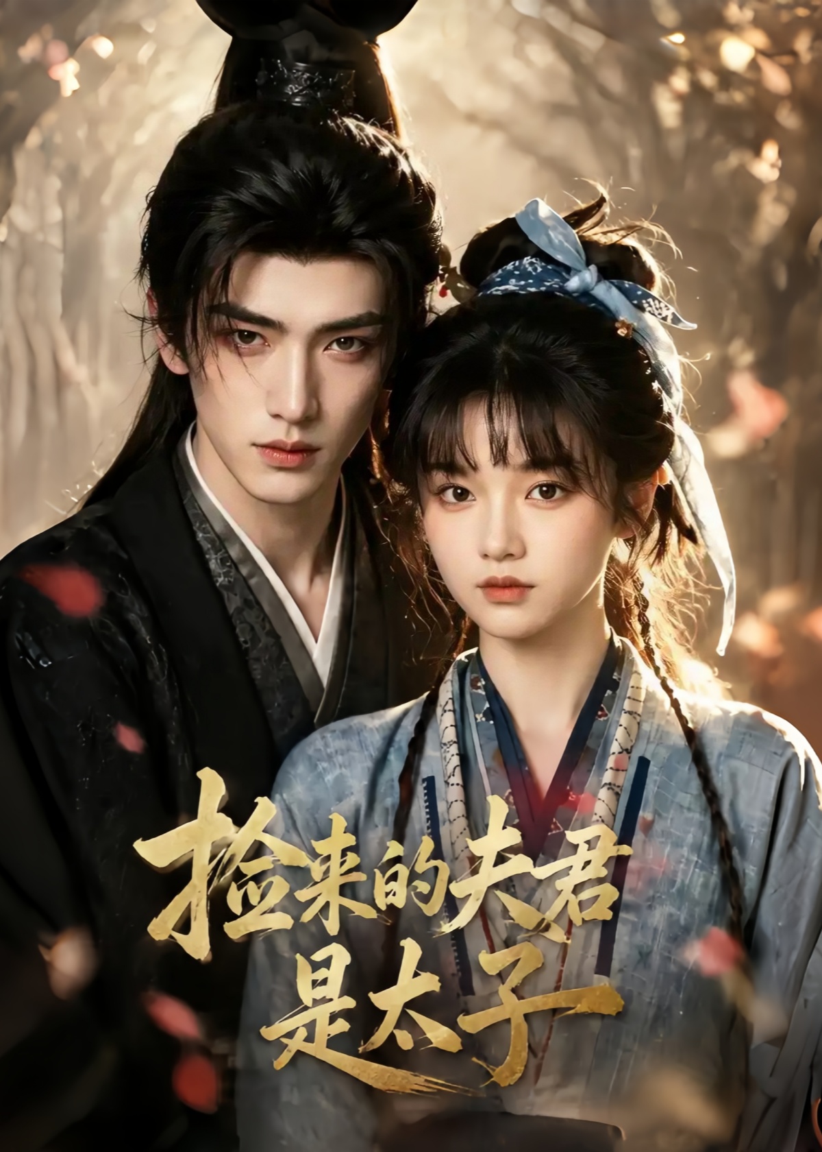 捡来的夫君是太子(全集)