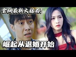 崛起从退婚开始全集(大结局)