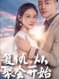 复仇从聚会开始全集(大结局)