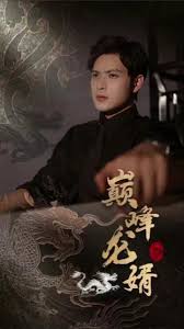 巅峰龙婿全集(大结局)