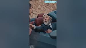 弃婿狂飙全集(大结局)